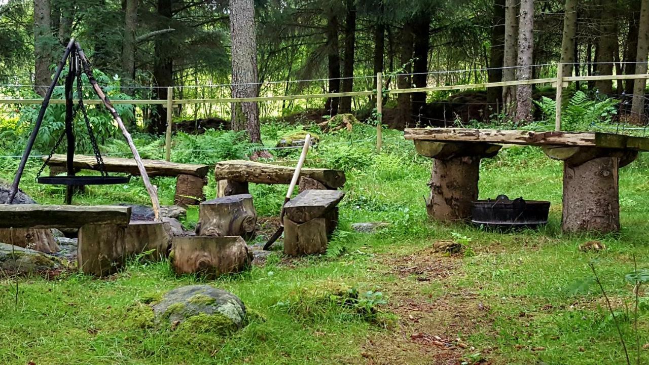 Tornes Kjorsvik Ovre 아파트 외부 사진